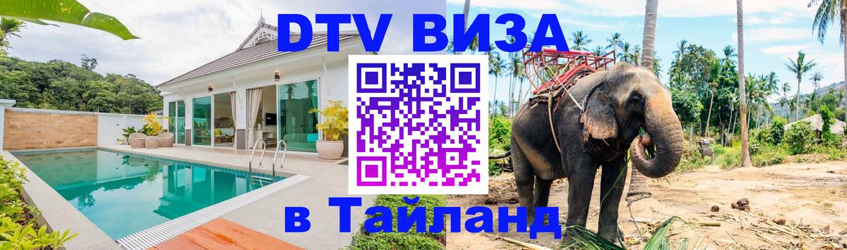 Оформление DTV визы под ключ: стоимость и тарифы, только загранпаспорт - 18.11.2025 